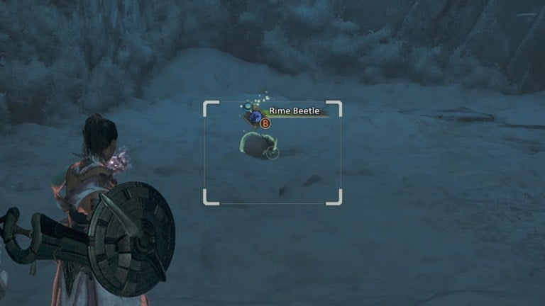 モンスターハンターワイルドのライムカブトムシはどこにありますか？