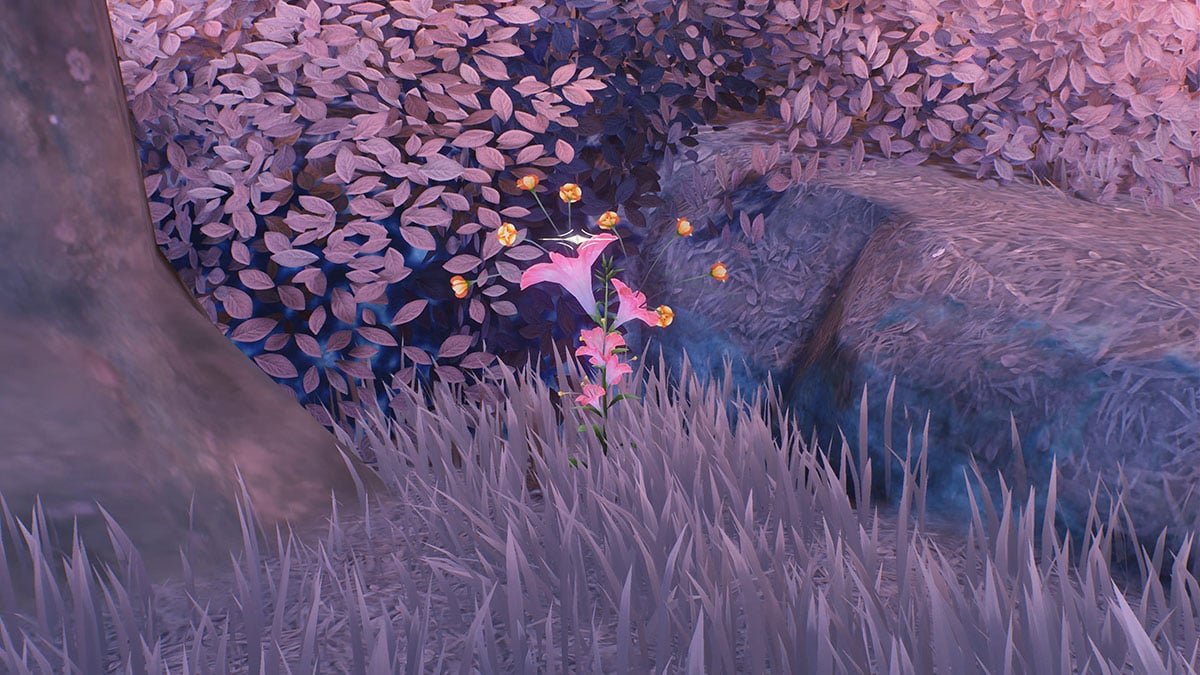 すべての爆竹の宝石の宝石の場所は、驚異的な波の場所:フィービーとロッチアのアセンション資料を見つけて農業する場所