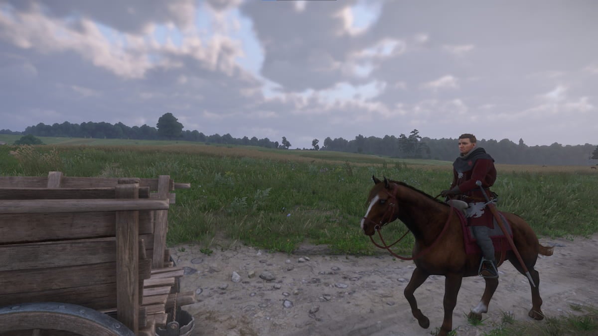 キングダムのすべてのミス可能なサイドクエストが出産します2