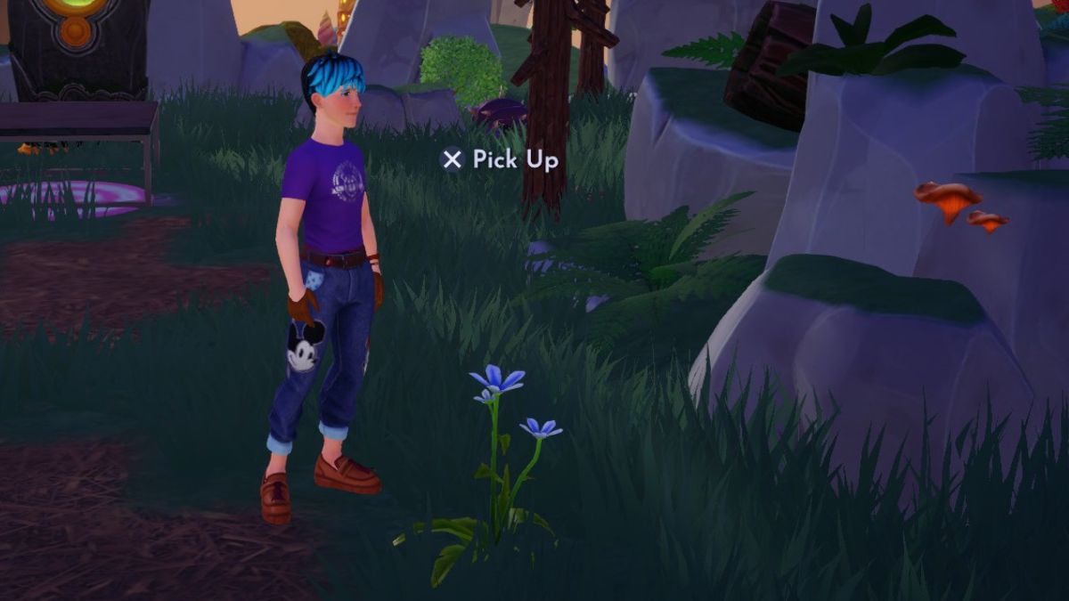 ディズニードリームライトバレーでブルースターリリーを見つける場所