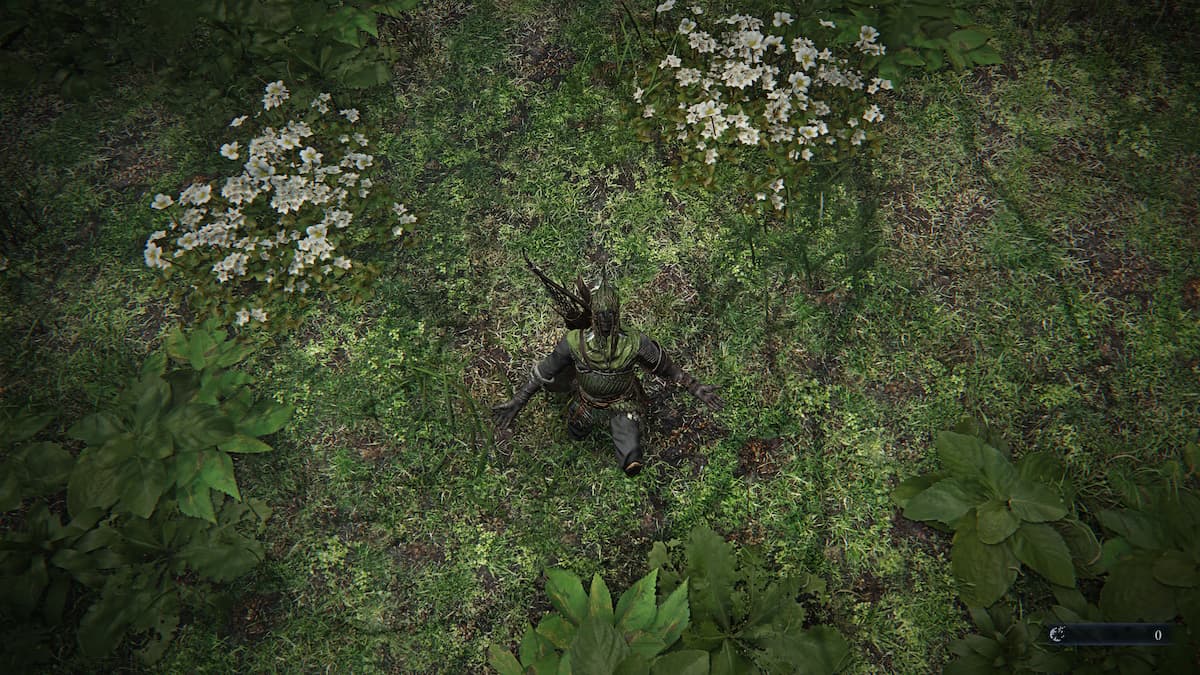 Elden Ring Nightreignでエモートする方法