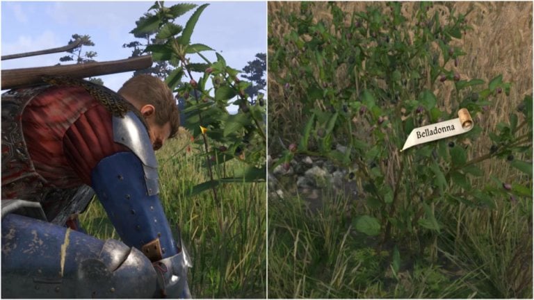 王国でベラドンナを救いに来る方法2？