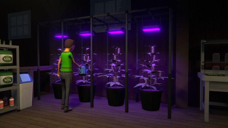 ベストとクッシュミックススケジュール1