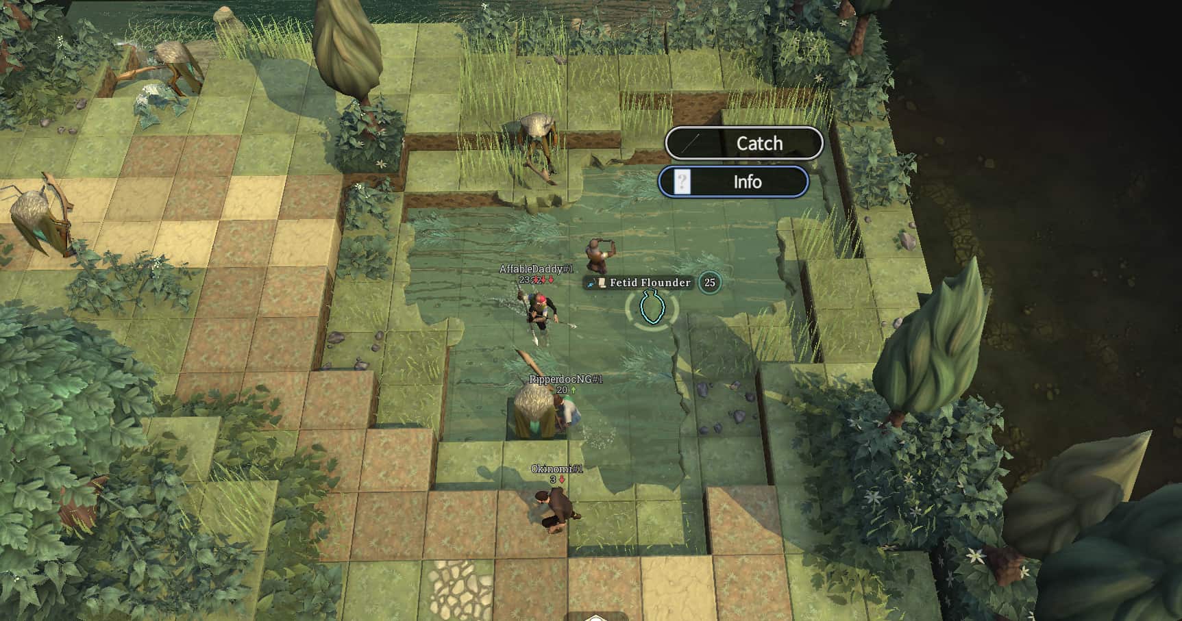 明るい海岸でfetidヒラメを見つける場所