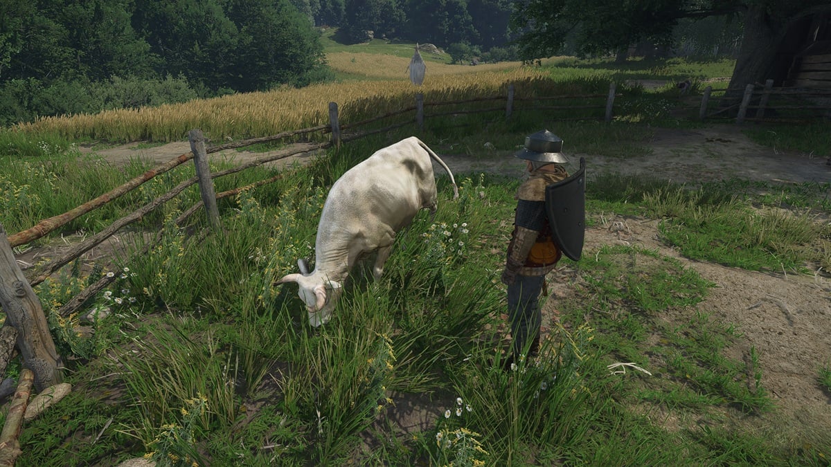 王国の雄牛やネズミのプロチェクをペイントする必要があります：救出2