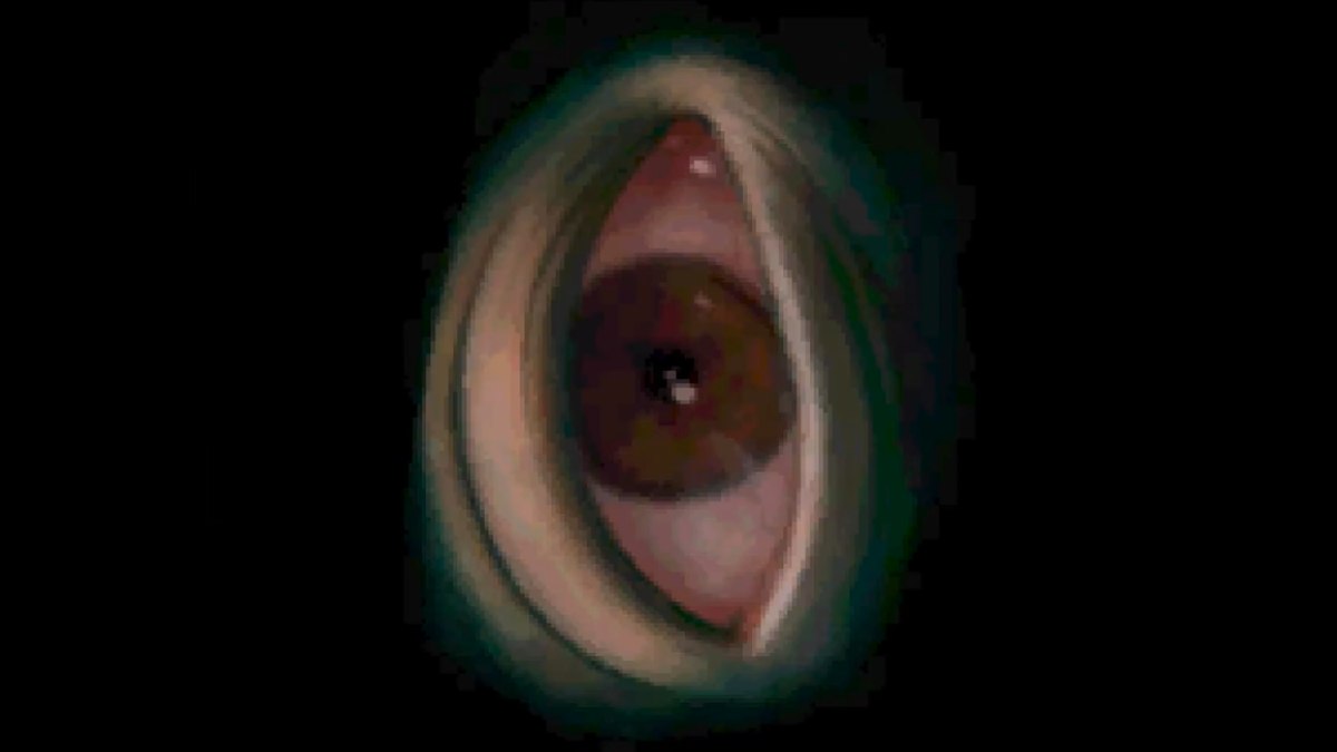 ホールストーリーとエンディング、説明しました