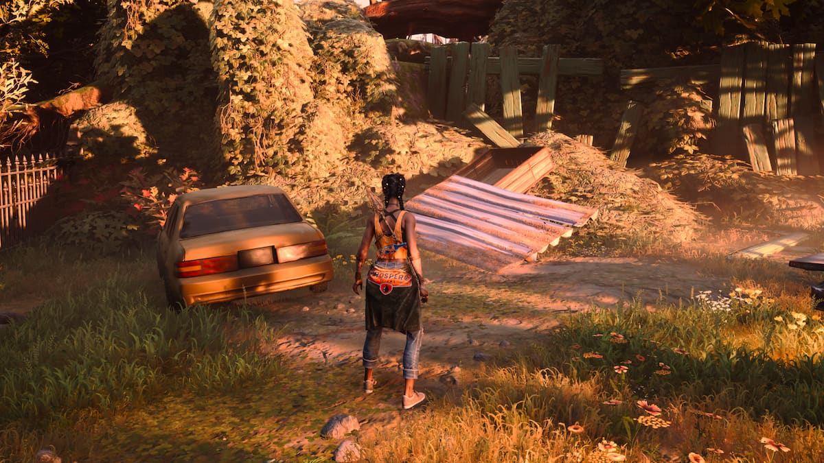 真夜中の南にあるすべてのスズフリップの場所