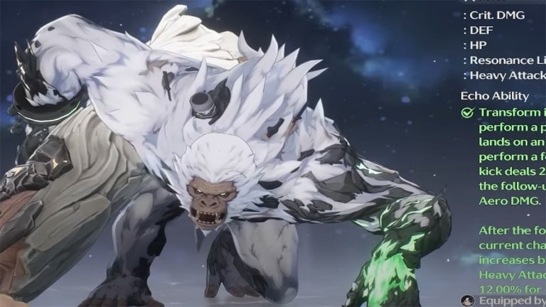 wutheringな波におけるジアクシンに最適なエコー