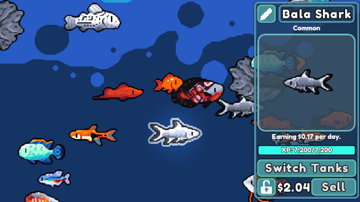 いつ魚を丸ごと飼うべきか、いつ魚を販売する必要がありますか?