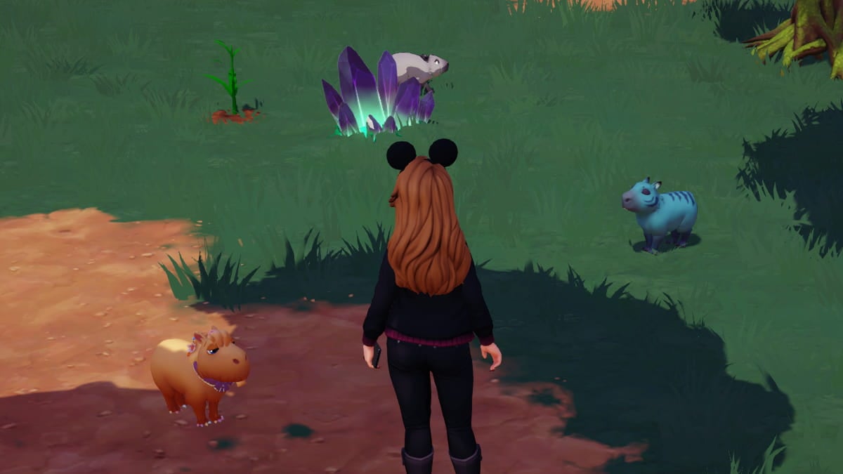 ディズニードリームライトバレーで赤と白の縞模様のカピバラを見つける場所