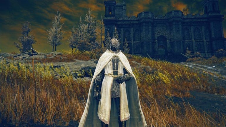 エルデンのリングシャドウの早い段階ですべてのNPCを殺す必要がありますか?