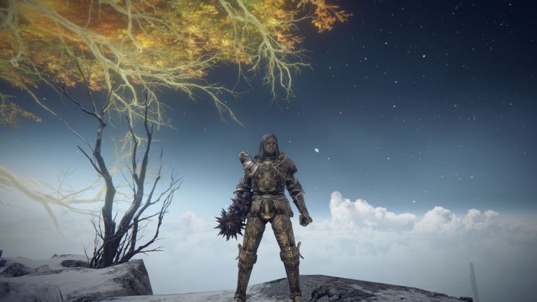 エルデンリングのベストスターフィストビルド