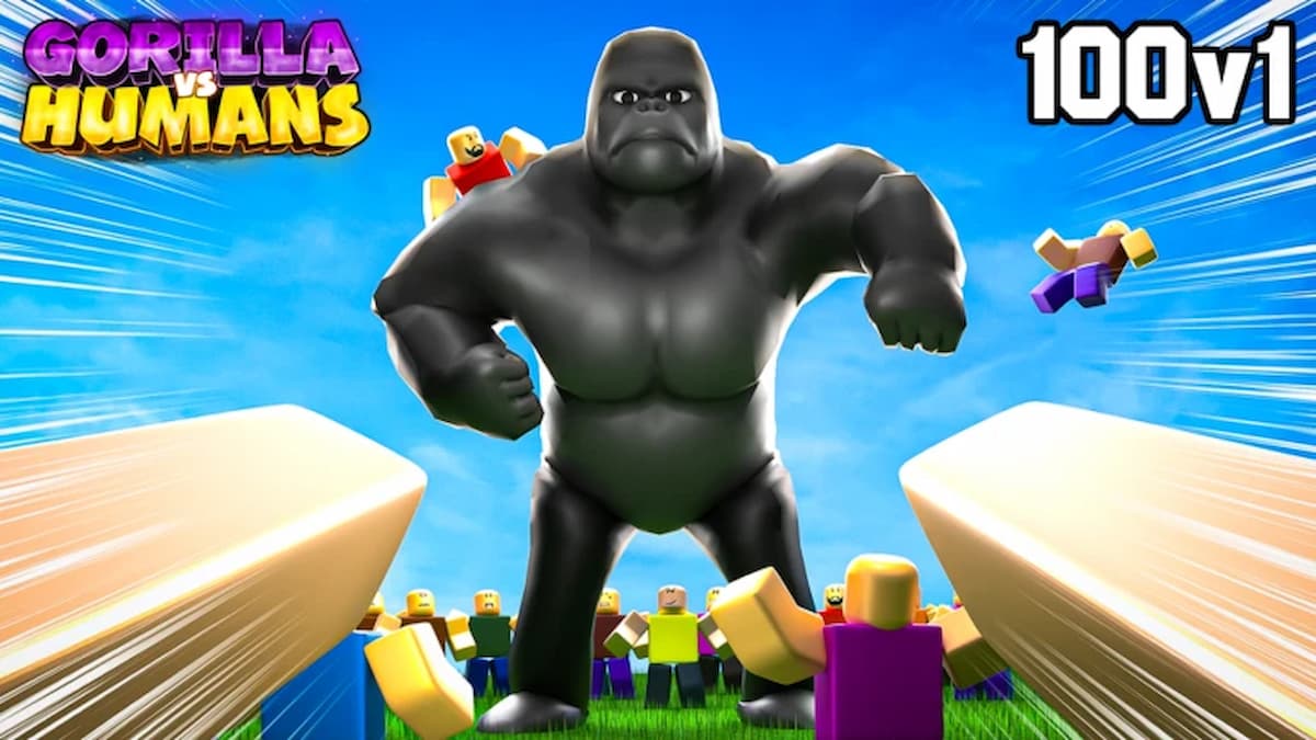 ゴリラ対人間コード（2025年5月）