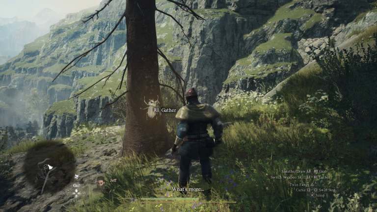 Dragon's Dogma 2の在庫サイズを増やす方法2