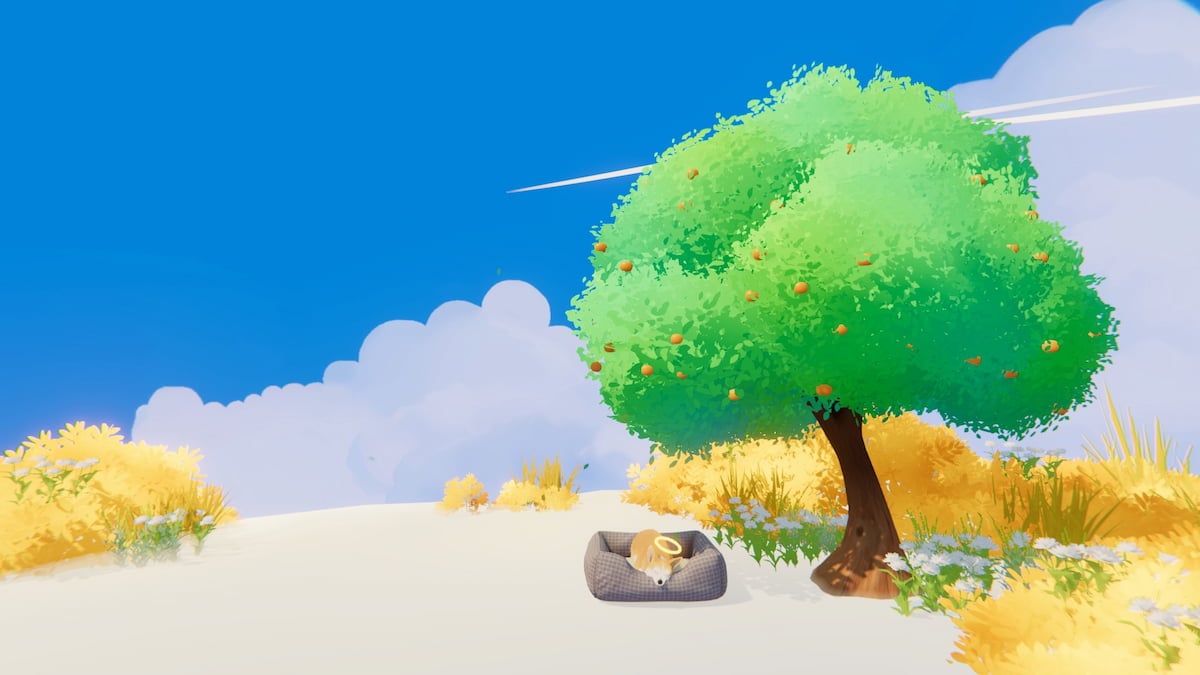 私の小さな子犬は、どこでも犬愛好家のための涙の魅力的な必見になりつつあります