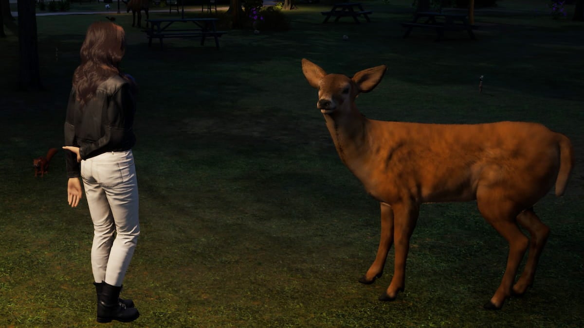 インゾイでペットを手に入れることができますか？