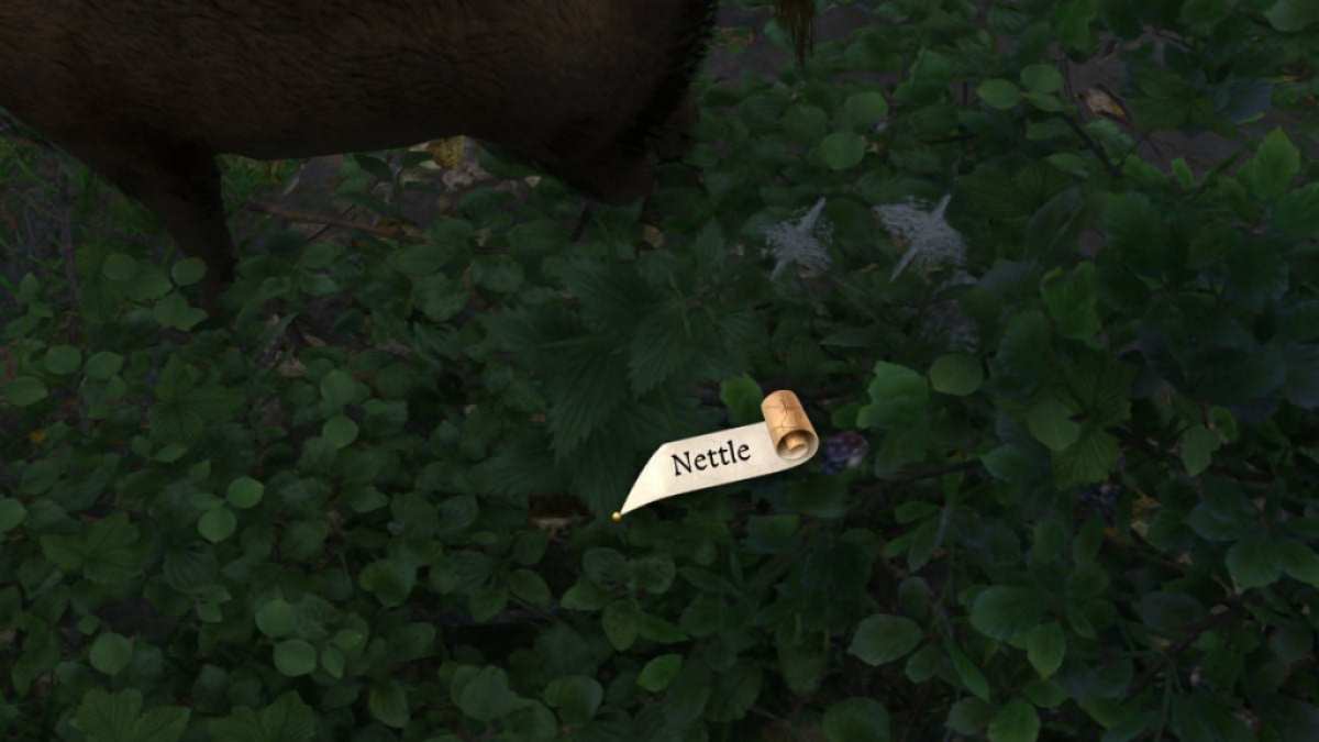 王国のベラドンナとイラクサを速く耕作する方法