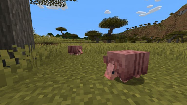 Minecraft Armadilloの比較：Snapshot 24w03aの前後にどのように見えますか？