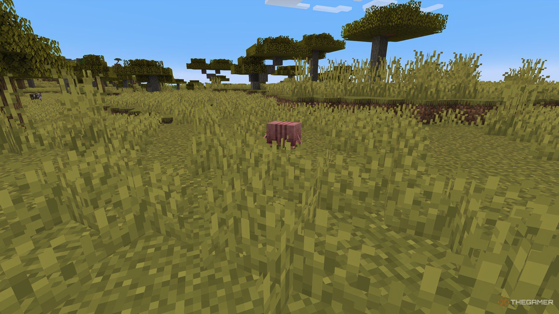 Minecraft：アルマジロは何を食べますか？