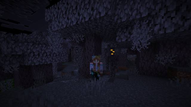 Minecraftで淡い庭のバイオームを見つける方法