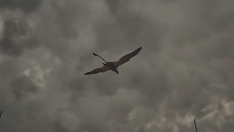 Monster Hunter WildsでWingdrake Hideを取得する方法