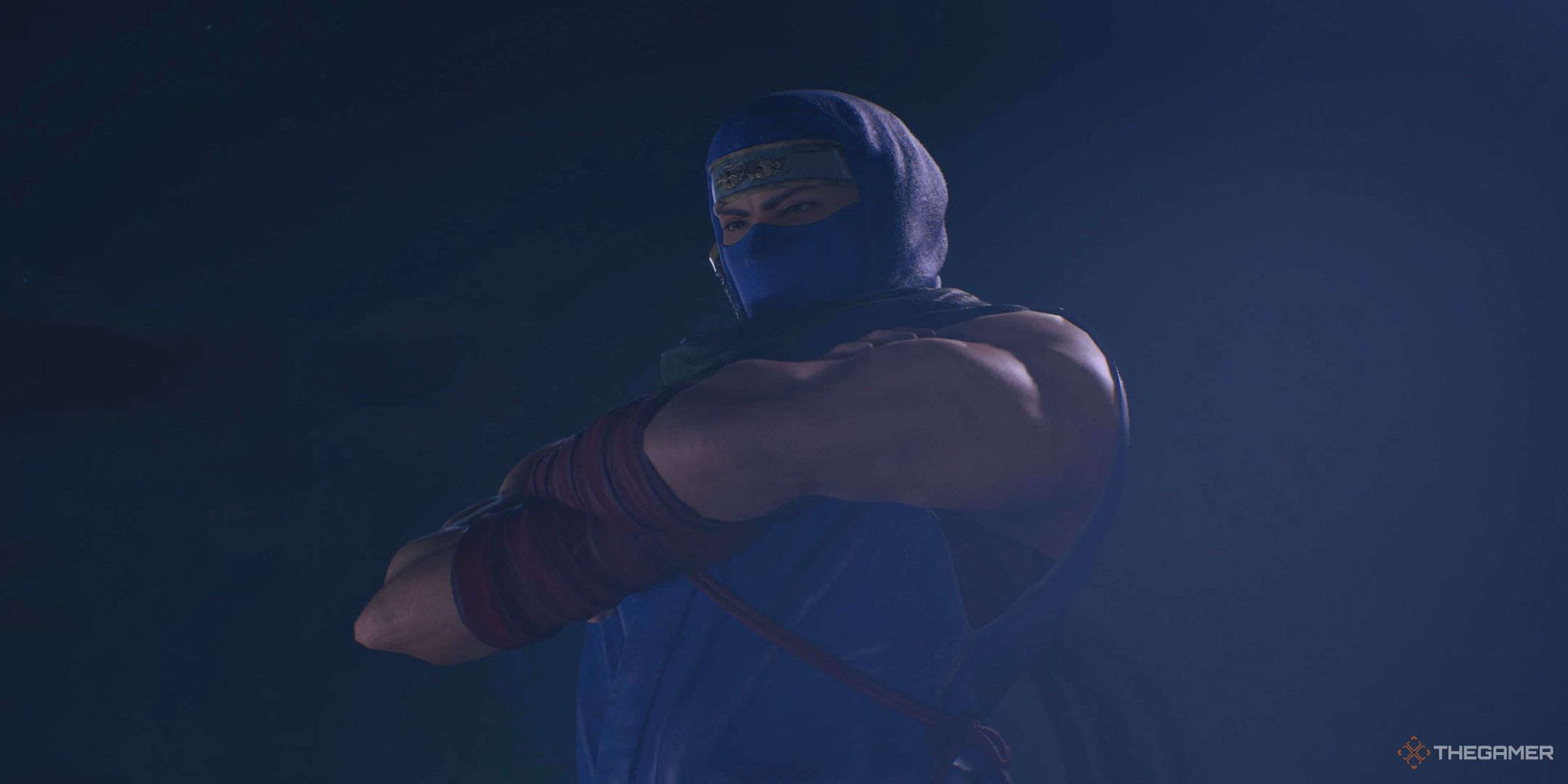 Ninja Gaiden 2 Blackがついに新しいゲームプラスと写真モードを追加しました
