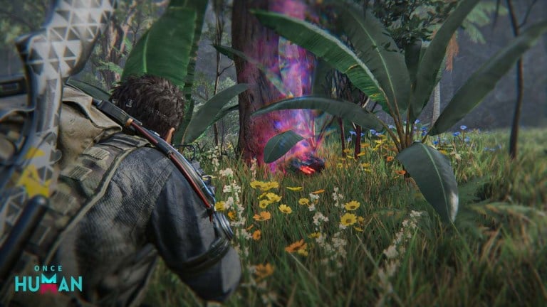 かつて人間：すべてのエコーストーンの場所