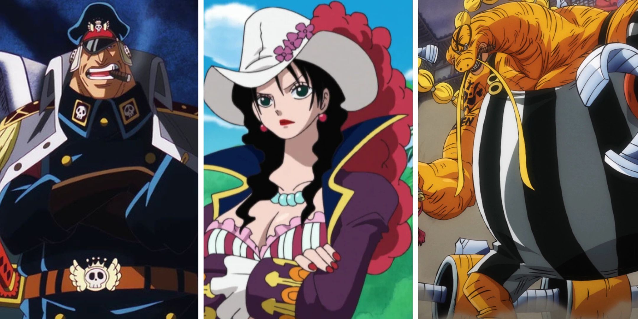 ワンピース:ヨンコ司令官、ランク付け