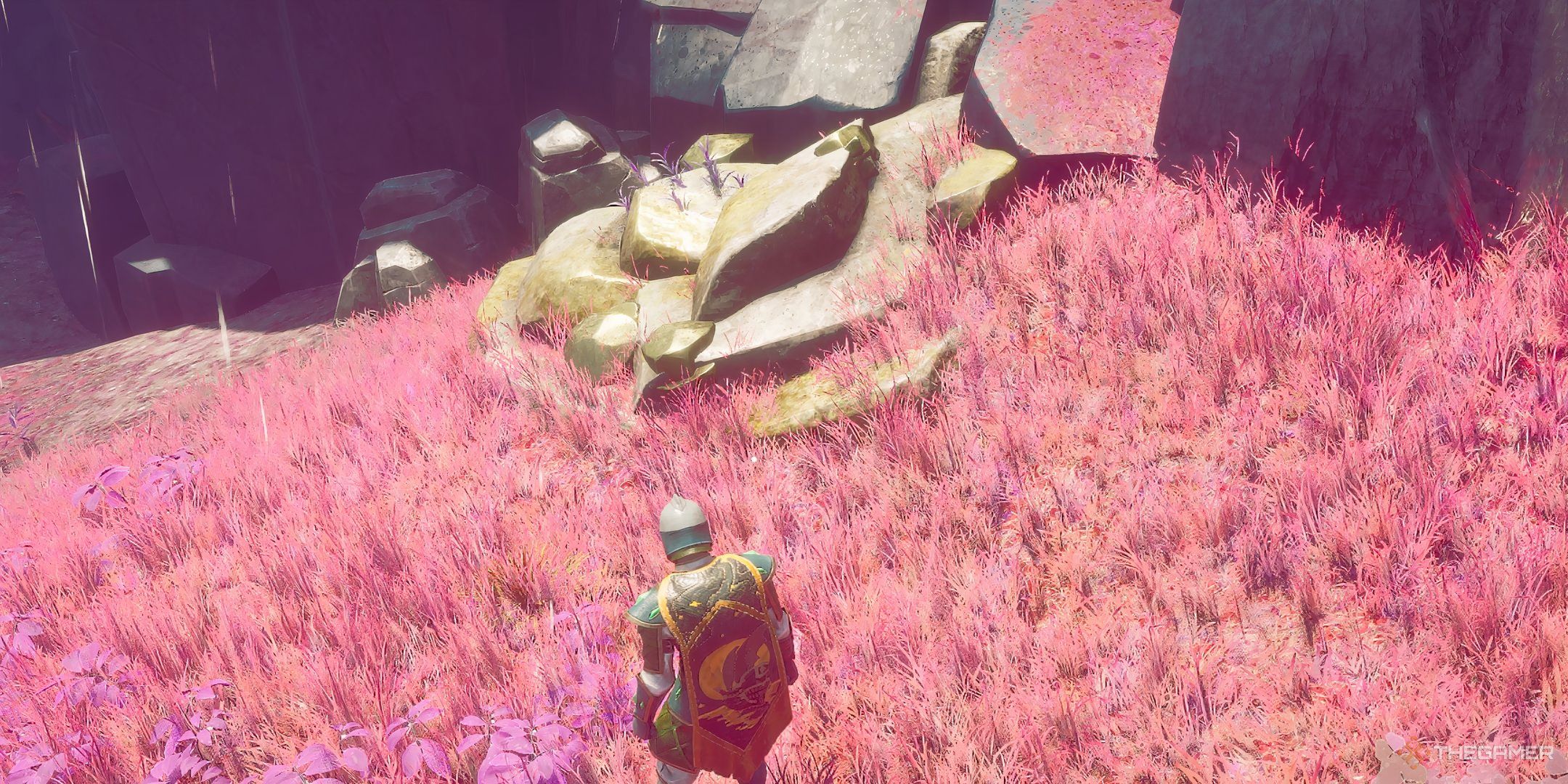 Runescape：DragonWilds 