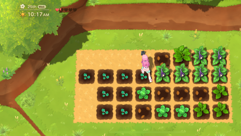 すべてのツールとハーベストムーンホームスウィートホームでそれらを取得する方法