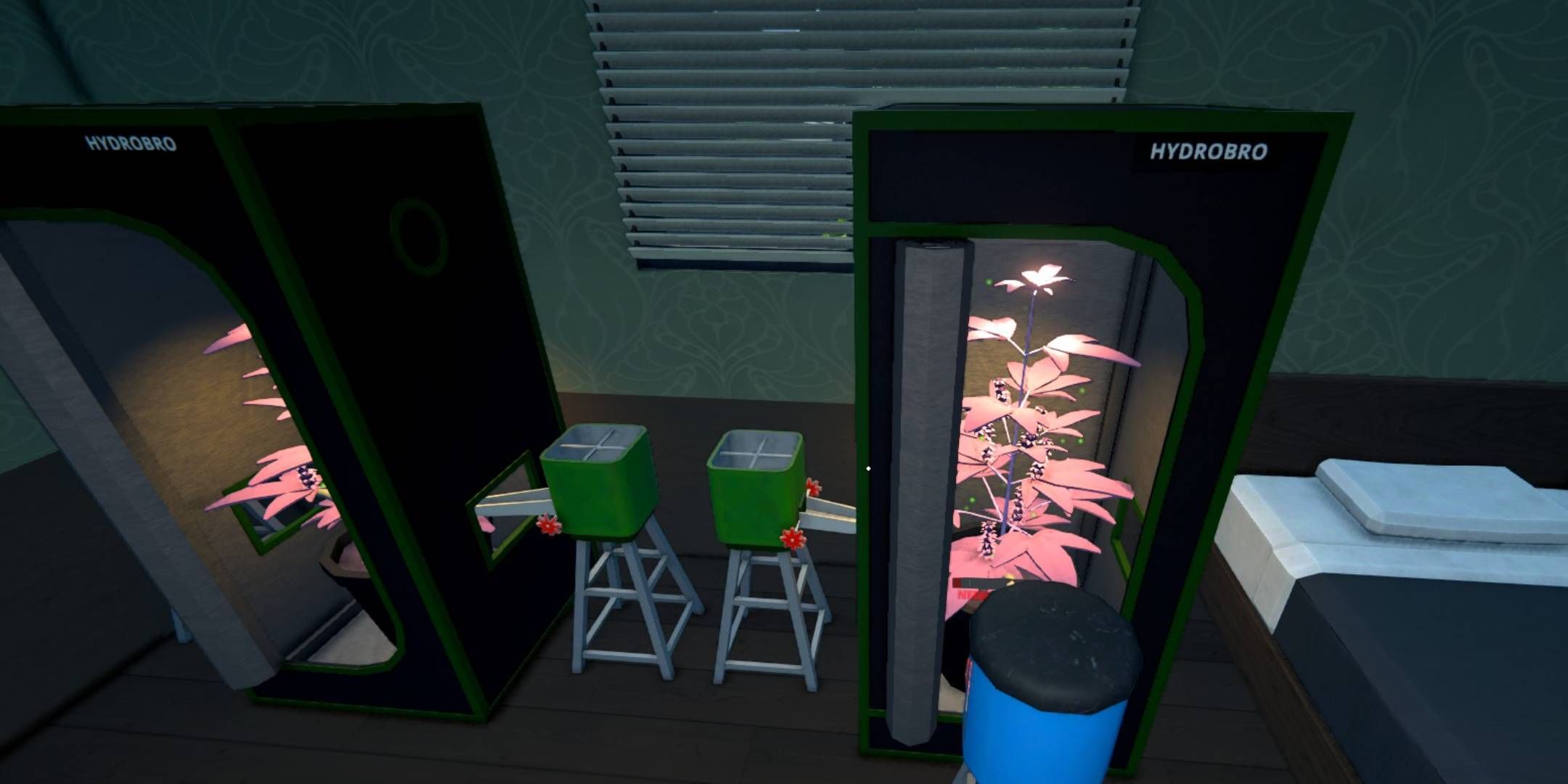 スケジュール1：ベストグランダディパープルミックス