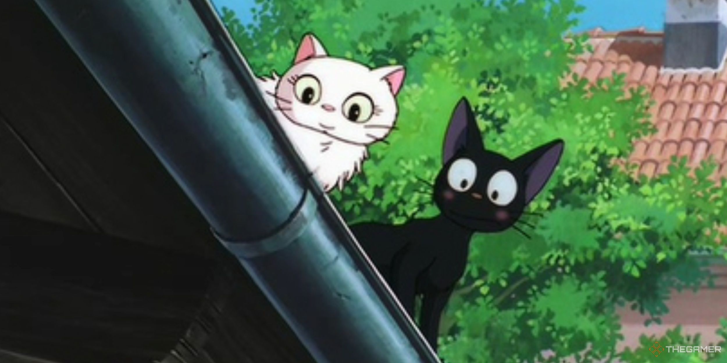 カジュアルなアニメファンでさえ、これらの象徴的なアニメペットを認識するでしょう