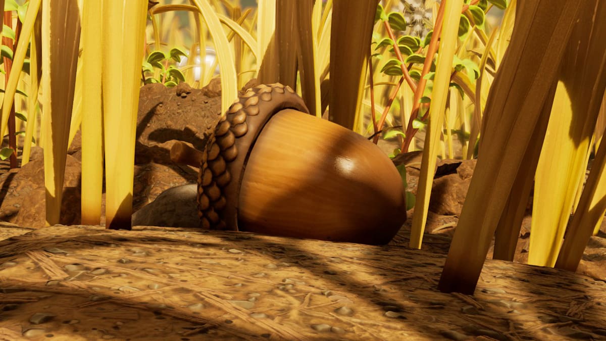 接地された2でドングリを見つける方法2