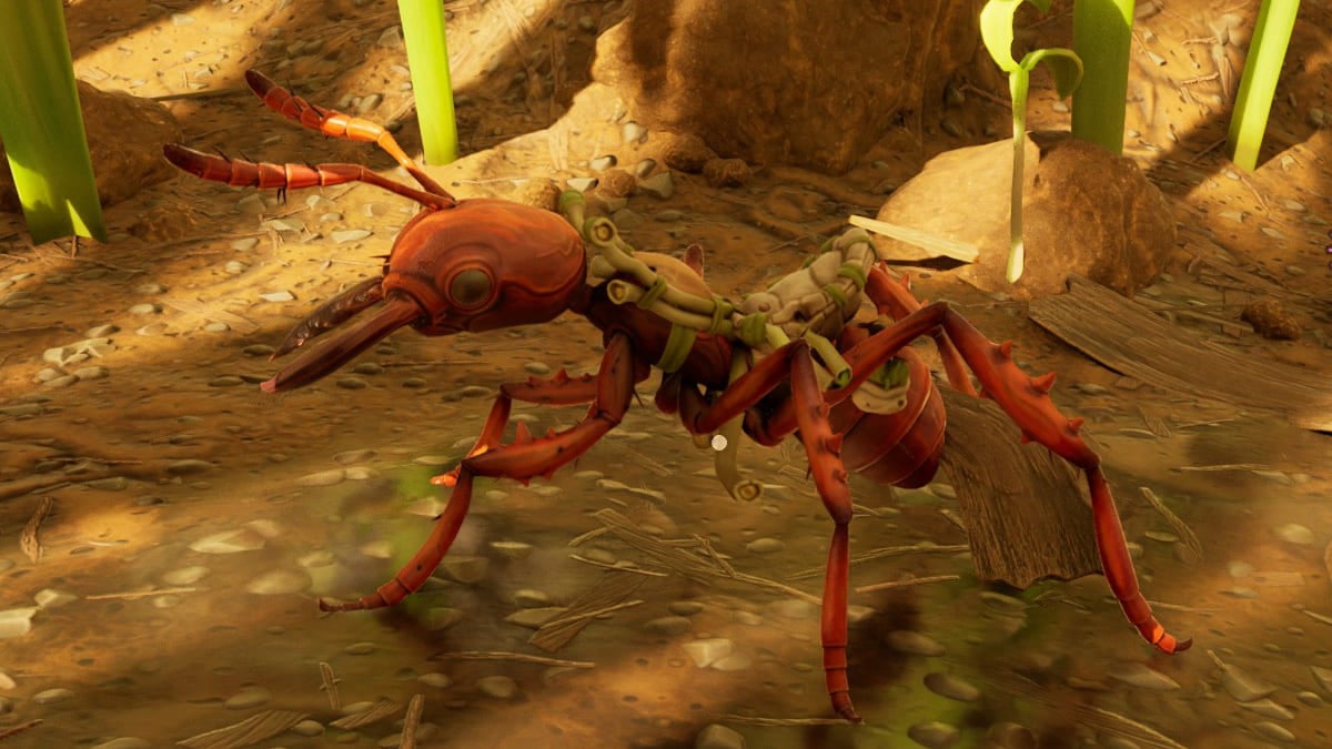 接地された2でバギーを飼いならして乗る方法2