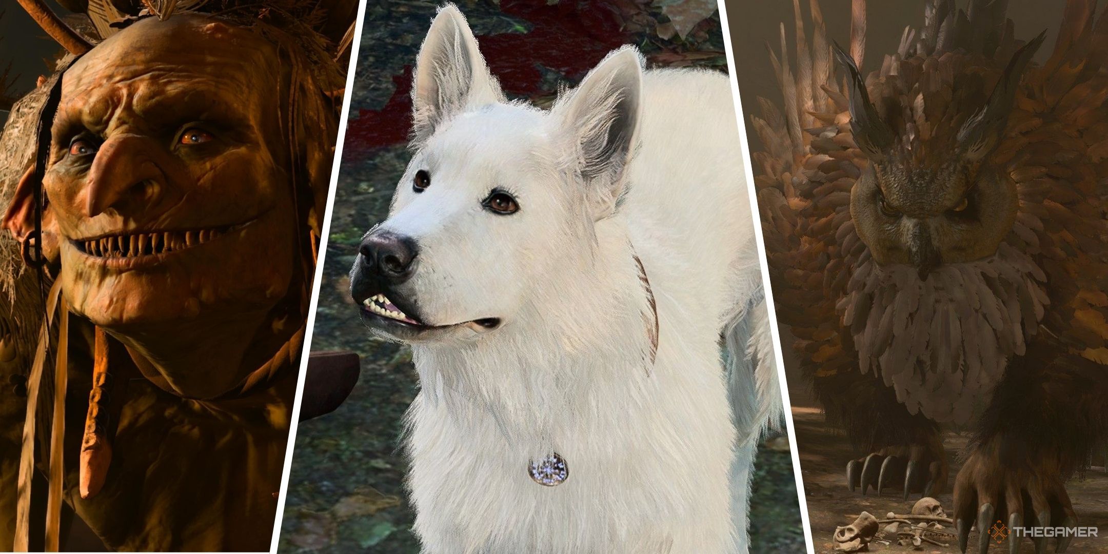 待って、ゲイルは彼の下着を食べることができますか?私たちが愛する奇妙なバルドゥールのゲート3の癖