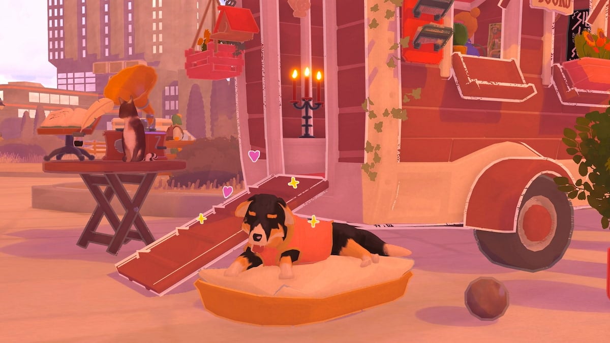 小さな書店で犬を養う方法