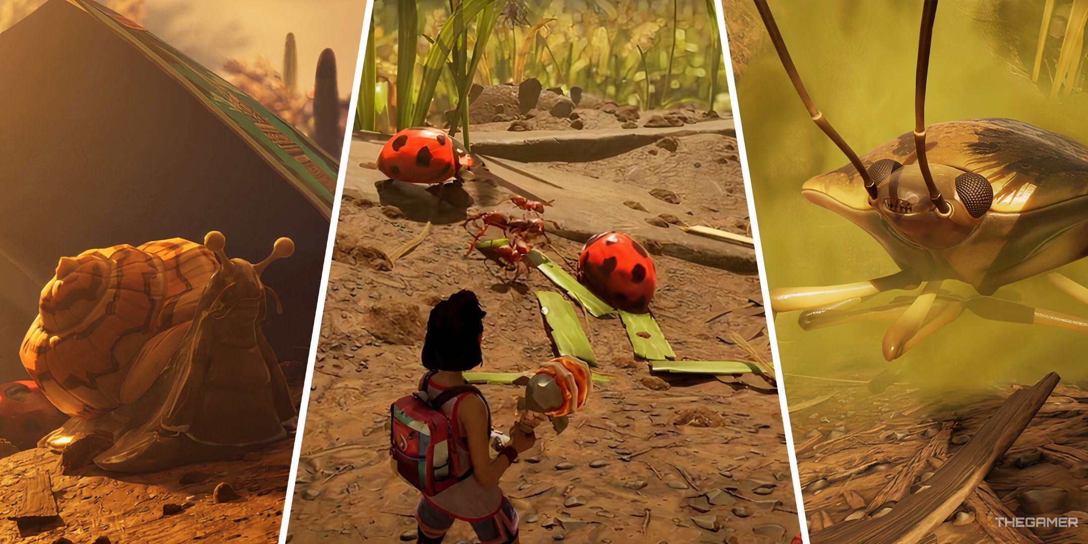 これらの昆虫が生態学的に接地された2に属していないことは私を悩ませています2