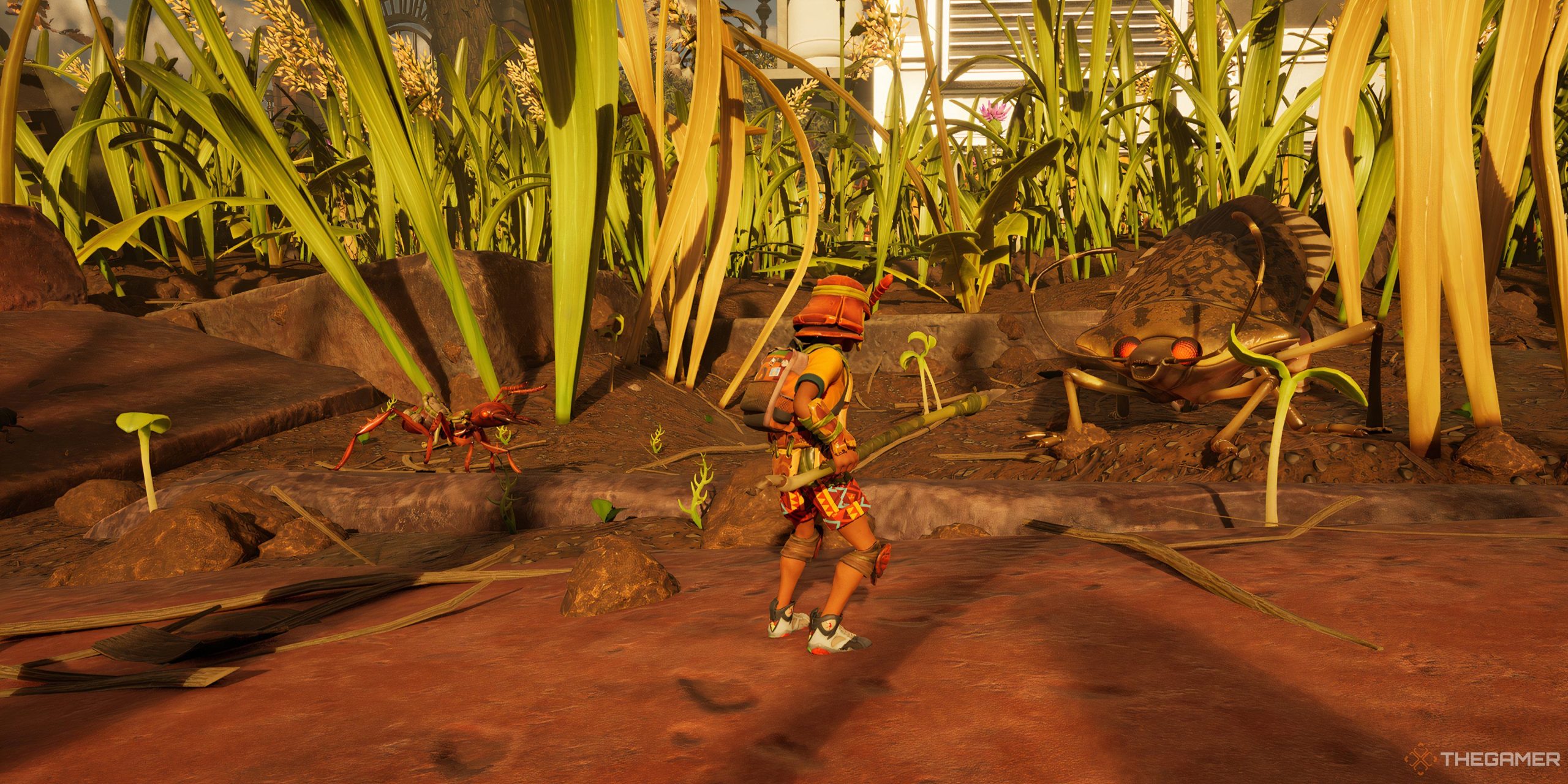 接地2：スティンクバグロケーションガイド