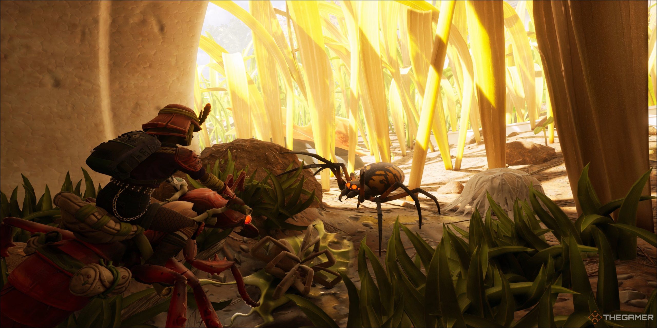 接地された2でクモに遭遇したくない場合は、これらの領域を避けてください