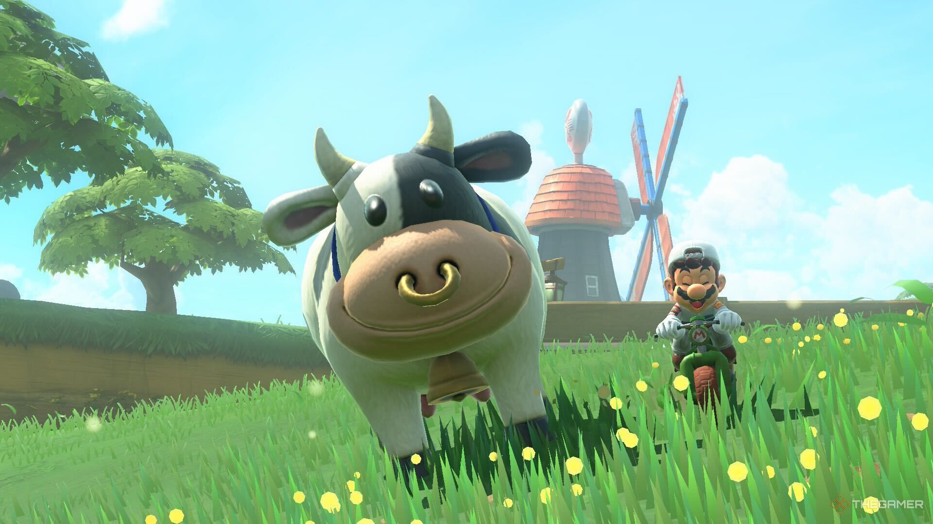 PETAは任天堂にマリオカートの世界を変えさせようとしています。