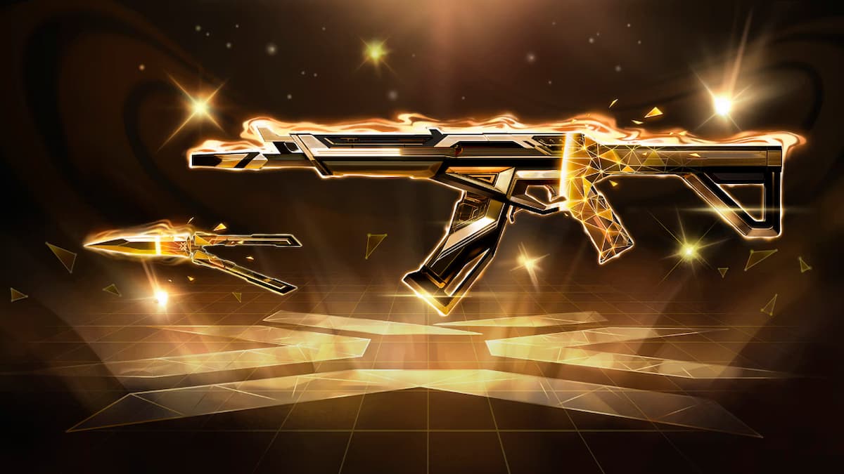 Valorant Champions 2025バンドルはそれだけの価値がありますか?