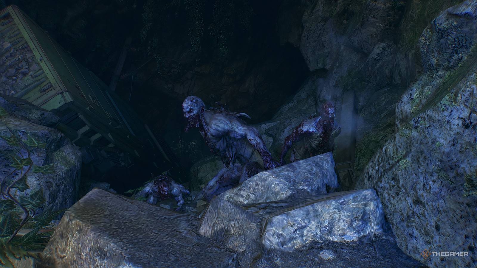 死にかけている光:獣