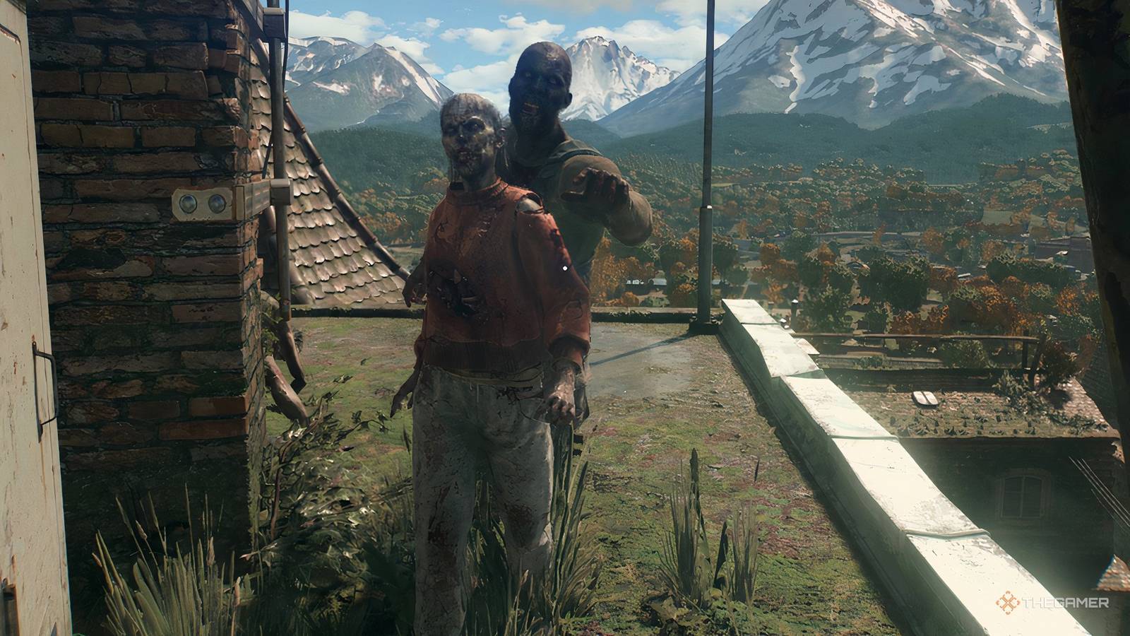 死にかけている光:獣