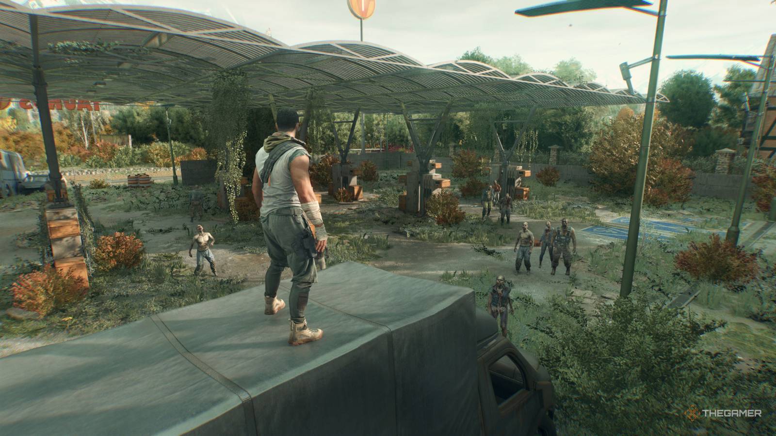 死にかけている光：獣