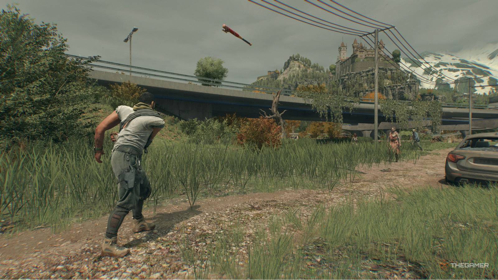 死にかけている光:獣