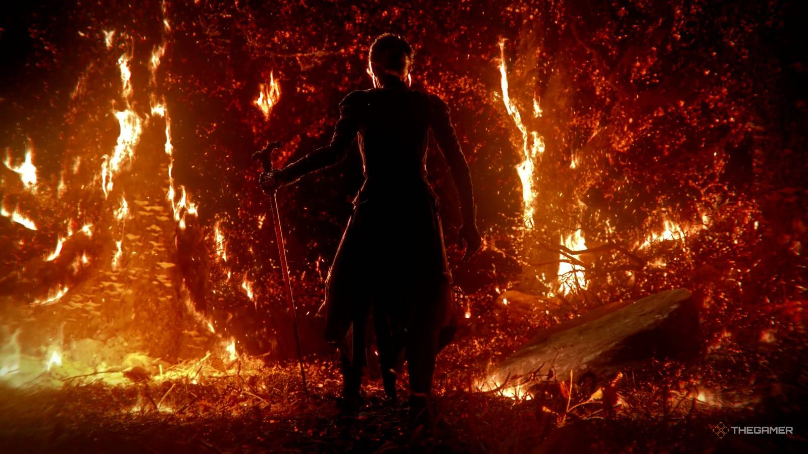 亡命の道2:サメのフィンをどうするか