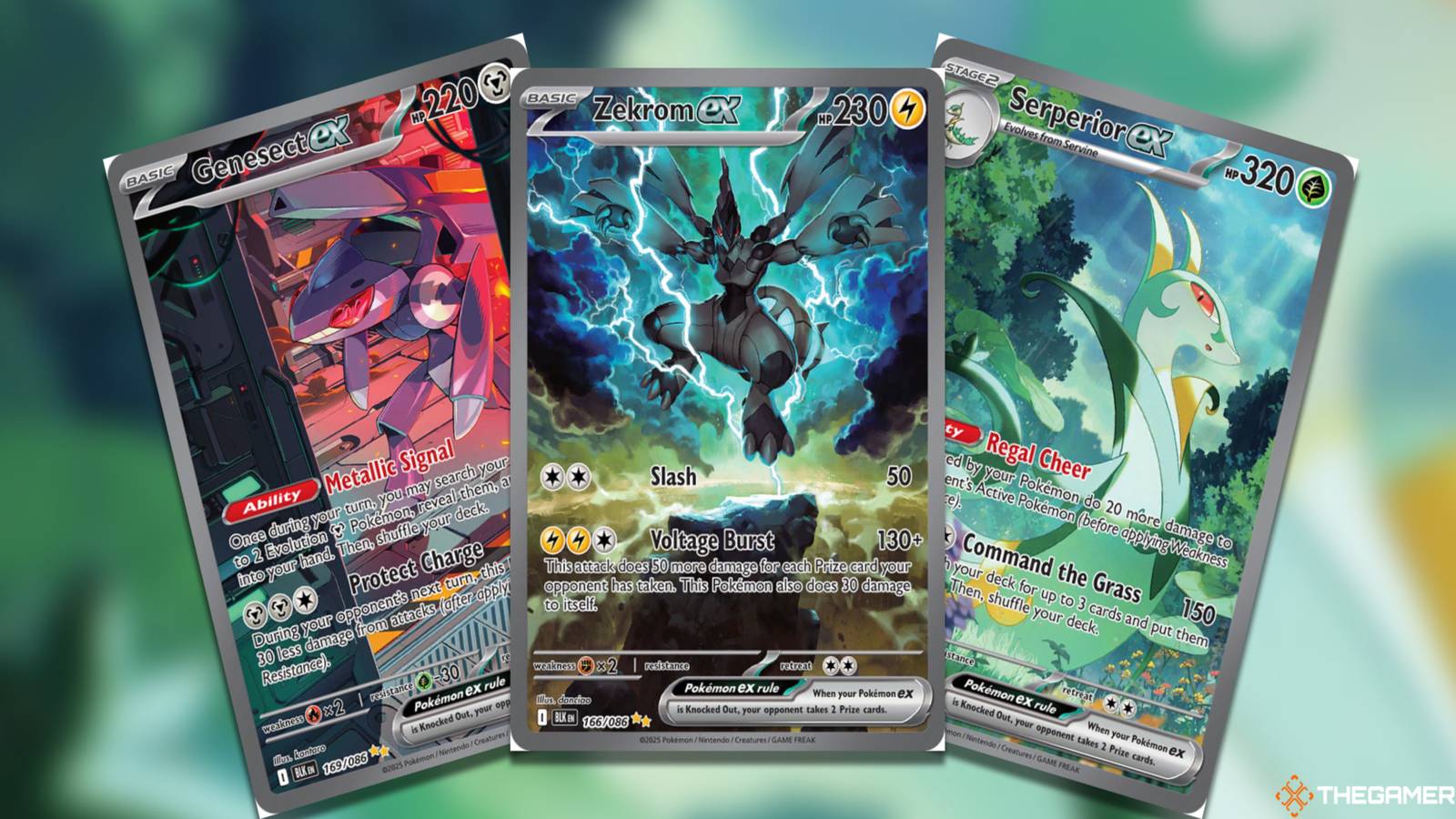 これらの黒いボルトの特別なイラストを逃した場合、あなたはポケモンTCGからの特別なイラストを逃した場合、あなたは自分自身を蹴る