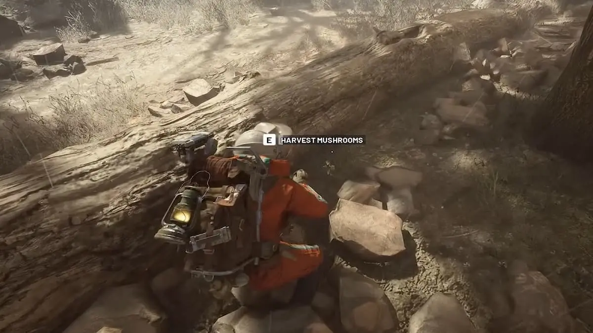 ARC Raidersでキノコと枕を見つけて使用する方法