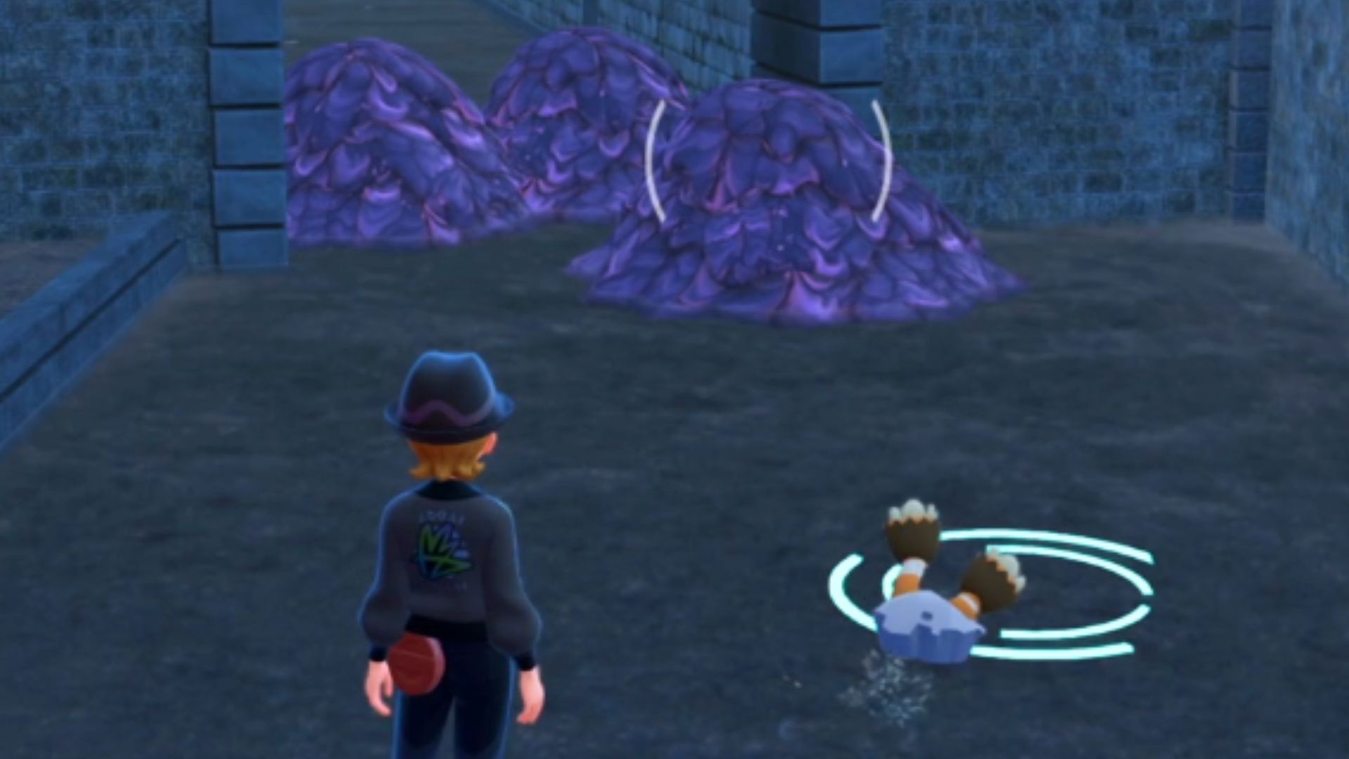 Pokémon Legends ZA で元気の小枝を見つける方法