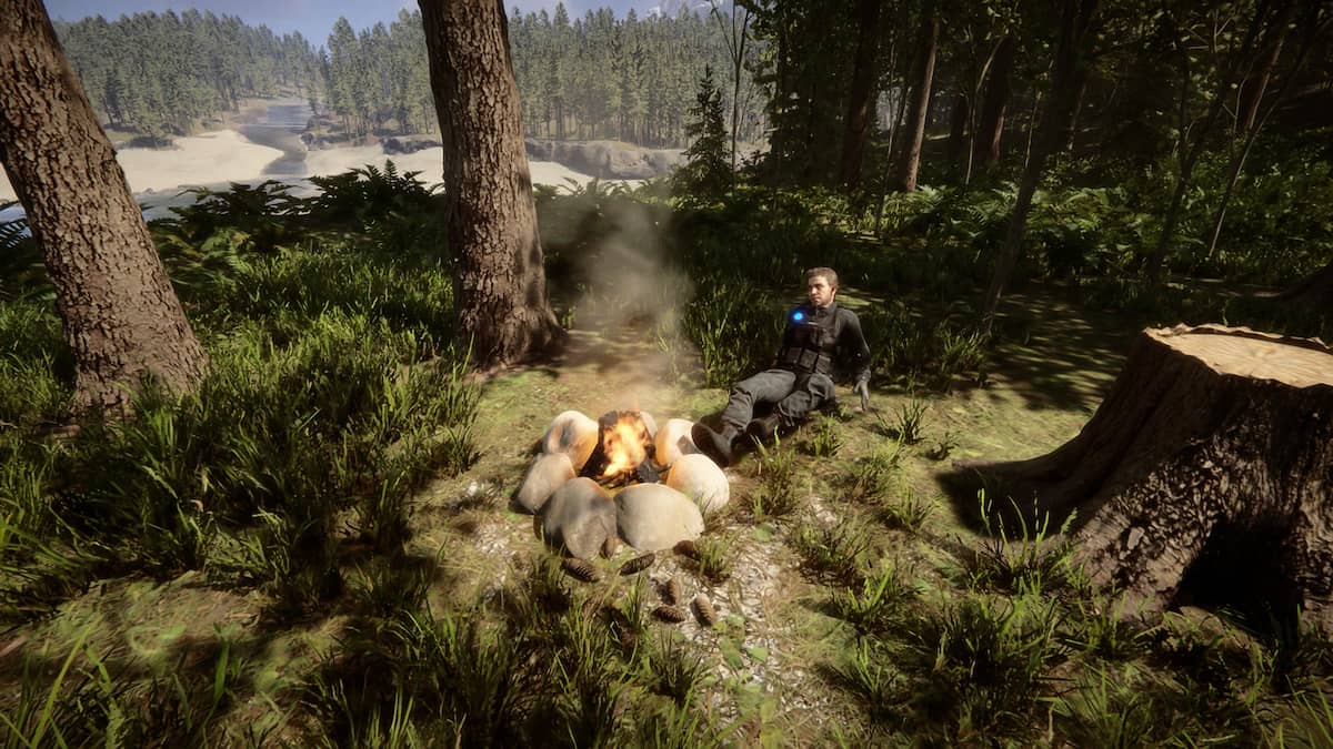 森の息子たちに火をつける方法